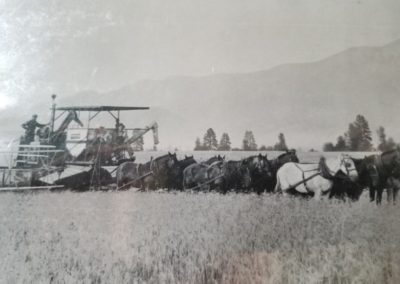 Farming the Way We Used To